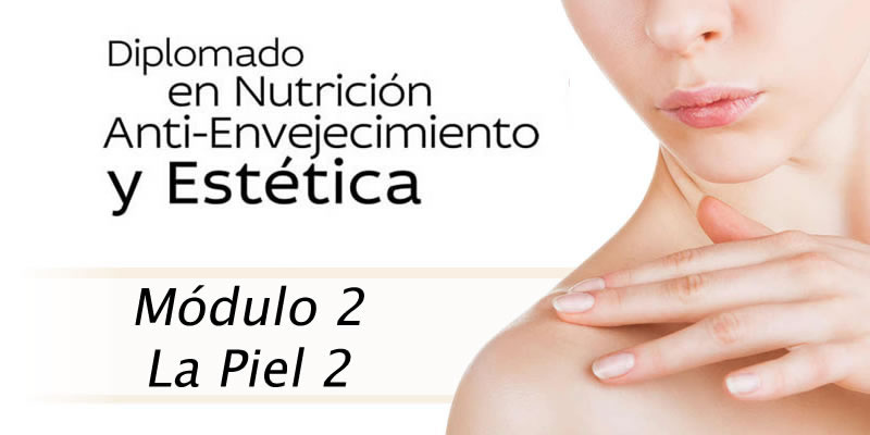 Curso sobre la Piel para Médicos